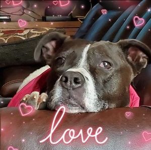 Meet your Posher, Holly